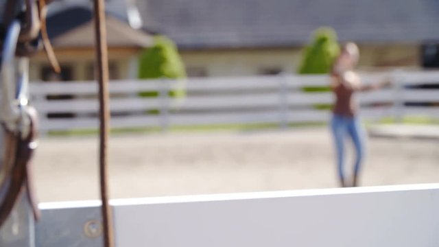 Western horse training on lunge line in slow motion 4K. Dolly slide refocus from bits to a woman holding horse on lunge line training.