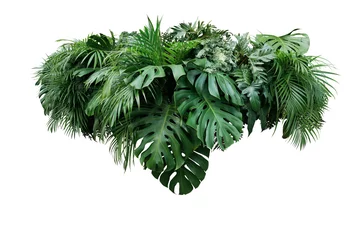 Foto op Plexiglas Tropische bladeren gebladerte plant jungle bush bloemstuk natuur achtergrond geïsoleerd op een witte achtergrond, uitknippad opgenomen. © Chansom Pantip