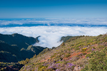 Fototapeta na wymiar Landscape of the sea of clouds viewed from the top of La Palma island, Canary island, Spain.