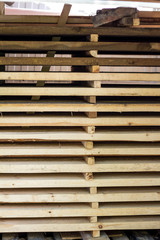 Texture of the board from the butt. The end of the tree. Background of Many boards