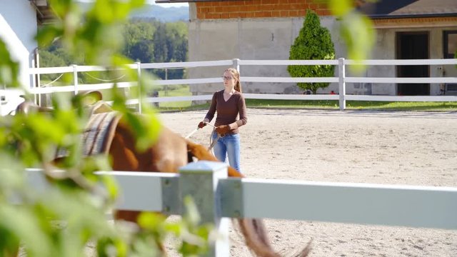 Training horse on lunge line at beautiful ranch in slow motion 4K. Long shot dolly slide of a woman in focus holding lunge line with the horse running in a circle. Camera slide behind the green tree.