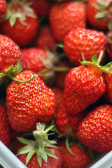 Strawberry. Strawberry close-up. Background of Food. Berries