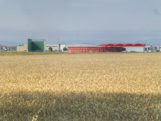 Santo Domingo de la Calzada. La RIoja, Spain