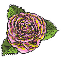 Roses flowers open head buds and green leaves. Isolated on white background. Vector.