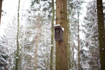 Wood birdhouse on the tree during winter time