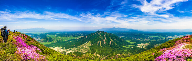 満開のミヤマキリシマ咲く阿蘇山