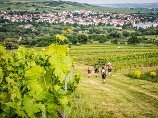 Wandern in Rheinhessen auf der Hiwweltour