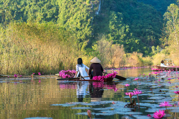 Fototapeta na wymiar Yen stream, with traditional boat on the way to Huong ancient pagoda. Blossoming water lily on the river. Vietnam beautiful landscape