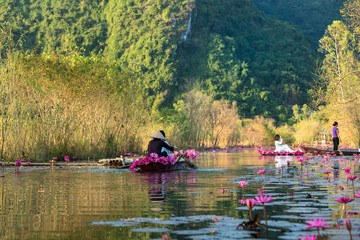 Yen stream, with traditional boat on the way to Huong ancient pagoda. Blossoming water lily on the river. Vietnam beautiful landscape