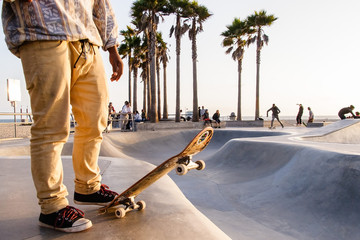 Skater standing with his board at the top of a bowl at the beach with palm trees in the background on a sunny day
