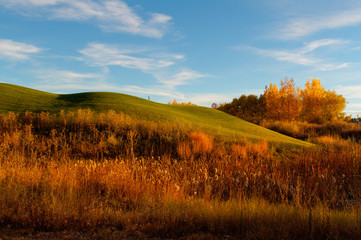 Colorado landscape at sunset
