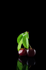 A bunch of fresh red cherries isolated on a black background with a reflection on the ground.