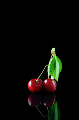 Fototapeta na wymiar A bunch of fresh red cherries isolated on a black background with a reflection on the ground.