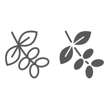 Coffee tree branch line and glyph icon, coffee and cafe, nature sign vector graphics, a linear pattern on a white background, eps 10.