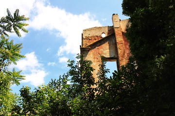 Abandoned house covered with vegetation