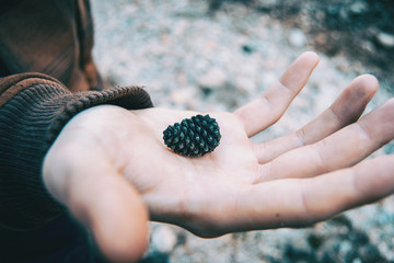 man holding a small pineapple of black pine