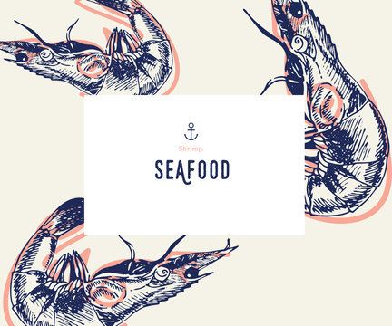 Seafood banner set. Hand drawn shrimp. Vector restaurant menu. Marine food banner, flyer design. Engraved isolated art. Delicious cuisine objects. Use for promotion, market, store banner.
