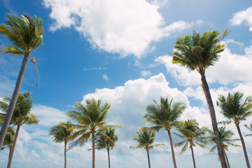 Fototapeta premium Summer holiday and vacation concept. Inspirational tropical beach.