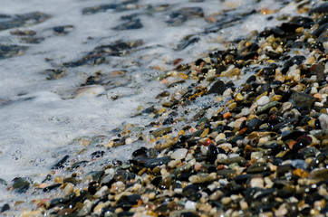 pebble beach washed by sea waves, small and various stones forming the shore