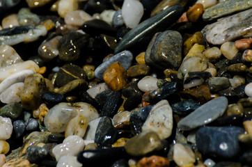 pebble beach washed by sea waves, small and various stones forming the shore