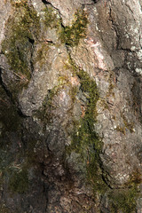 texture