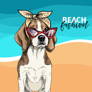 Vector portrait of beagle dog wearing sunglasses, retro bandana. Summer fashion illustration. Vacation, sea, beach, ocean. Hand drawn pet portait. Poster, t-shirt print, holiday, postcard, summertime