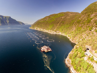 Photo of Fish Farm in Norway. Blue sea and mountains with vegetation. Aerial shot. Top view. © Dmytro Kosmenko