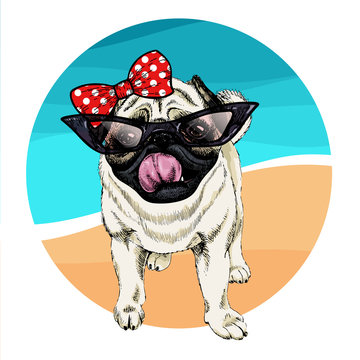 Vector portrait of pug dog wearing sunglasses and retro bow. Summer fashion illustration. Vacation, sea, beach, ocean. Hand drawn pet portait. Poster, t-shirt print, holiday, postcard, summertime.