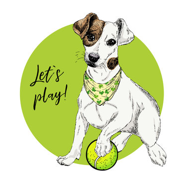 Vector portrait of Jack Russel terrier dog with tennis ball. Lets play. Green curveball and background. Summer illustration. Hand drawn pet portait. Poster, shirt print, holiday, postcard, summertime.