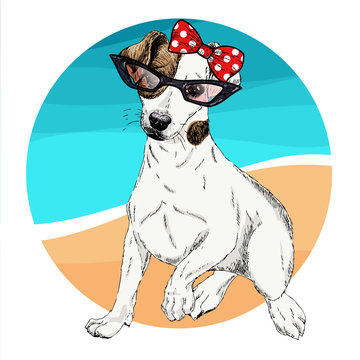 Vector portrait of Jack Russel terrier dog wearing sunglasses and retro bandana. Summer fashion illustration. Vacation, sea, beach, ocean. Hand drawn pet portait. Poster, print, holiday, summertime.