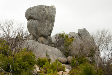 Stony Hill - Albany - Australia