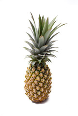 Pineapple local fruit