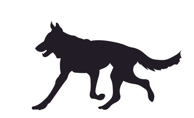 dog runs silhouette, vector