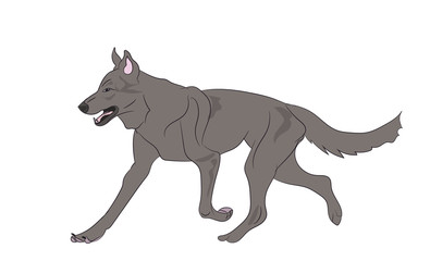 dog running, color, vector