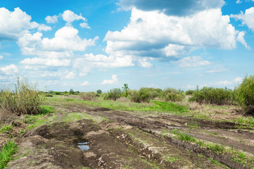 Dirty dirt road in the spring time of year. Spring landscape
