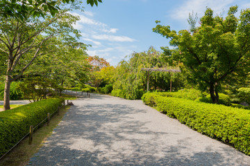 Beautiful garden in nature background. evergreen garden with walkway in nature.