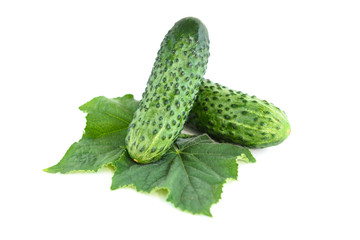 Cucumbers isolated on white background.