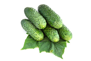 Cucumbers isolated on white background.