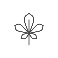 Chestnut leaf line icon