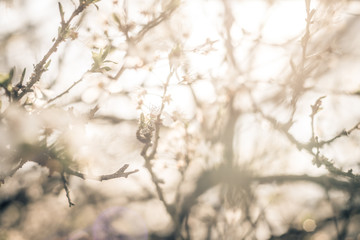Frühling in Brandenburg
