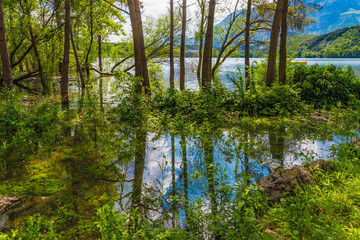 Lago di Cavedine, Ufer, Wasser, Vergetation, Spiegelung