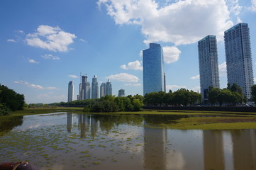 View on Buenos Aires Buisness District