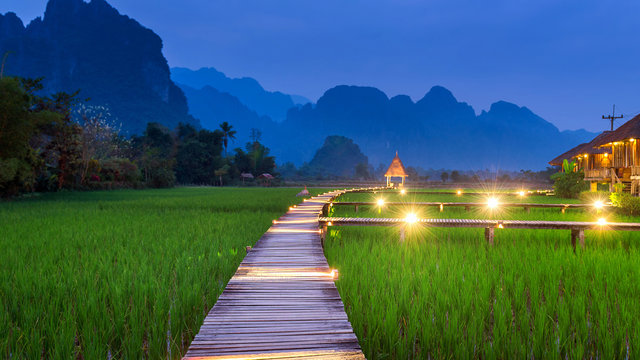 Wooden path and green rice field at night in Vang Vieng, Laos.