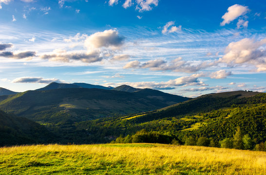 beautiful mountain landscape in afternoon. grassy meadow and forested hills of Carpathian mountains. Pikui mountain in the far distance. gorgeous blue sky with golden clouds