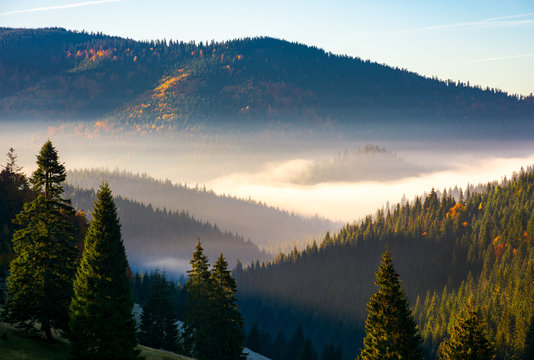 gorgeous foggy sunrise in mountains. beautiful autumn scenery of Apuseni Natural Park in Romania