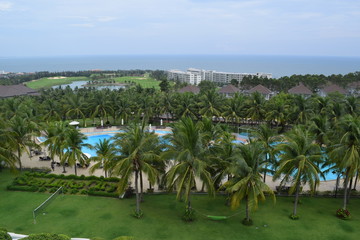 coconut plant and pool at resort in muine, vietnam