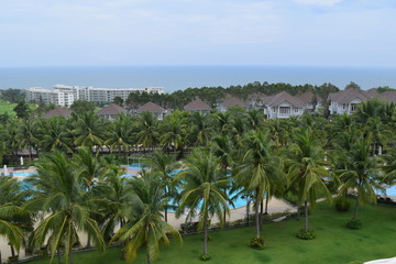 coconut plant and pool at resort in muine, vietnam