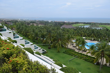 coconut plant and pool at resort in muine, vietnam
