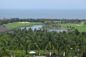 coconut plant and pool at resort in muine, vietnam