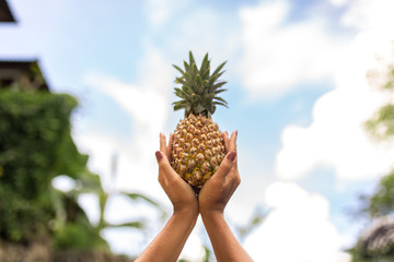Holding pineapple in hands on sky backgroud